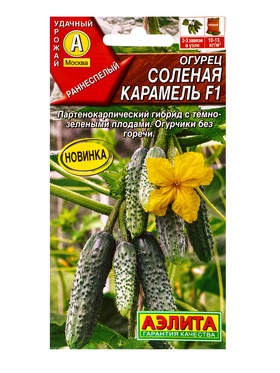 Семена Огурец «Соленая карамель», F1, партенокарпический, 10 шт., «Агрофирма АЭЛИТА» (комплект 2 шт)