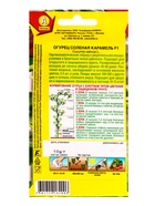 Семена Огурец Соленая карамель F1 Парт, Ц/П,10 шт. (комплект 2 шт) - фото 61613688