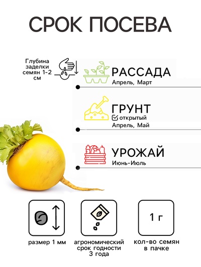 Семена Репа «Самаркандская местная», «Сделано в СССР - Агрофирма АЭЛИТА», 1 г
