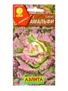 Семена Салат Амальфи, 0.3 г, «Агрофирма АЭЛИТА» 10945112