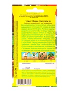 Семена Томат Тёщин погребок F1 Семторг, Ц/П СТ,10 шт. (комплект 2 шт) - фото 61613851