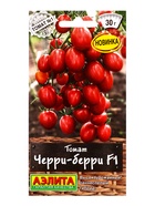 Семена Томат Черри-берри F1 Профи-Аэлита, Ц/П,10 шт. (комплект 2 шт) - фото 61613856