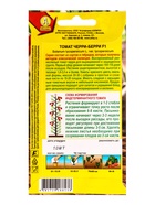 Семена Томат Черри-берри F1 Профи-Аэлита, Ц/П,10 шт. (комплект 2 шт) - фото 61613857