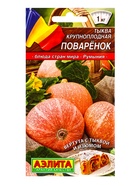 Семена Тыква крупноплая Поваренок Блюда стран мира, Ц/П,2 г (комплект 2 шт) - фото 61613873