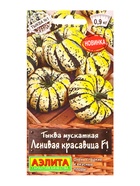 Семена Тыква мускатная Ленивая красавица F1 Профи-Аэлита, Ц/П,5 шт. - фото 61613877