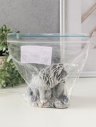 Фигурка «Семья львов», 8.5 см - фото 61613956