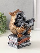 Копилка для денег «Сова с книгой», гипс, 25×18 см, под бронзу с серебром - фото 809343796