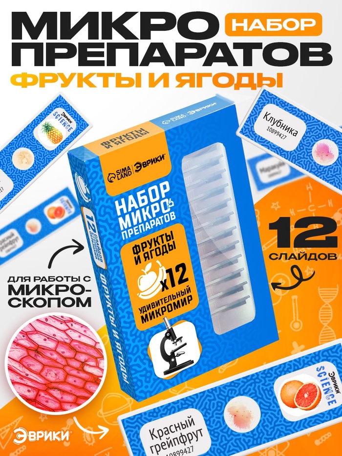 Набор для опытов «Набор микропрепаратов», фрукты и ягоды - Фото 1