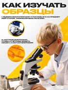 ЭВРИКИ Набор для опытов "Набор микропрепаратов", фрукты и ягоды - фото 60980079