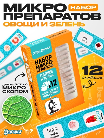 Набор для опытов «Набор микропрепаратов», овощи и зелень