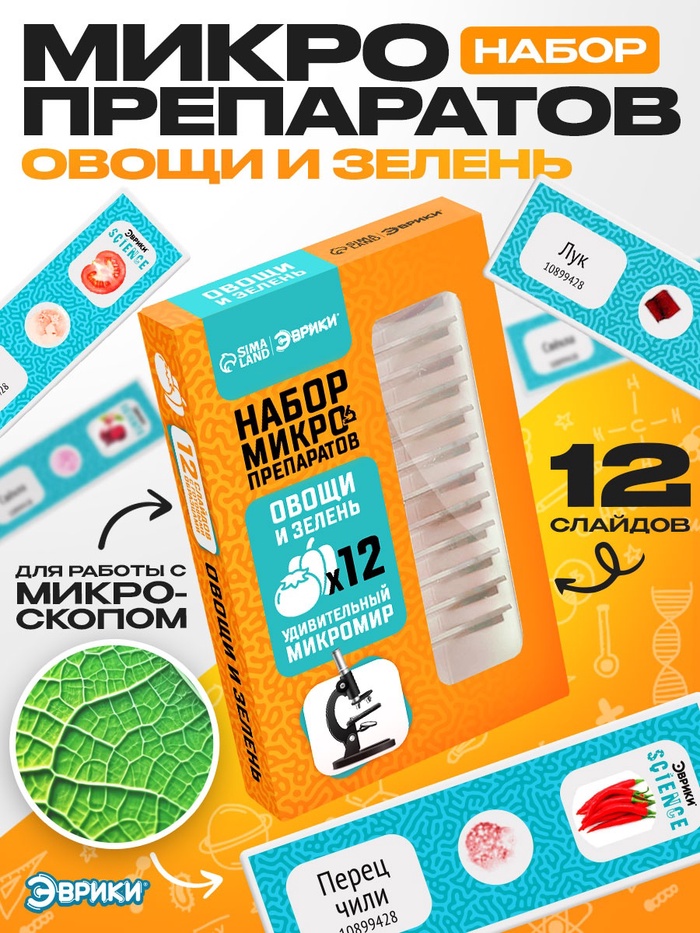 Набор для опытов «Набор микропрепаратов», овощи и зелень - Фото 1