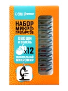 ЭВРИКИ Набор для опытов "Набор микропрепаратов", овощи и зелень - фото 60980087