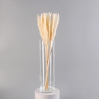 УЦЕНКА Ваза "Иберетта-400" h-40см; d-11,5см, 3,8л прозрачная - Фото 2