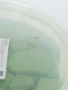 УЦЕНКА Кинетический песок "Волшебный песок" 2400 гр., ведерко, зеленый - Фото 7