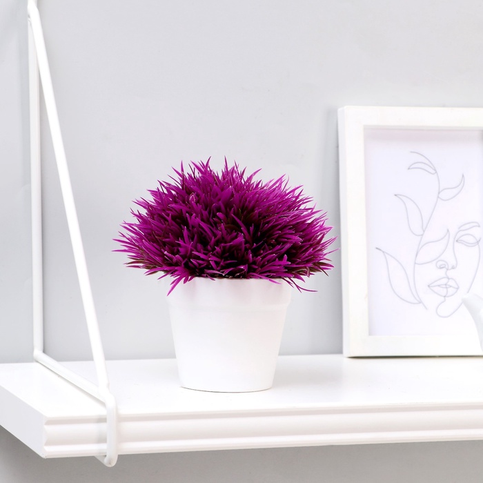 УЦЕНКА Бонсай "Цветная травка" 12 см, микс - Фото 1