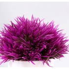 УЦЕНКА Бонсай "Цветная травка" 12 см, микс - Фото 2