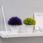 УЦЕНКА Бонсай "Цветная травка" 12 см, микс - Фото 4