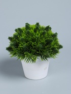 УЦЕНКА Бонсай "Цветная травка" 12 см, микс - Фото 5