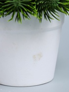 УЦЕНКА Бонсай "Цветная травка" 12 см, микс - Фото 6