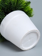 УЦЕНКА Бонсай "Цветная травка" 12 см, микс - Фото 7