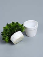 УЦЕНКА Бонсай "Цветная травка" 12 см, микс - Фото 8