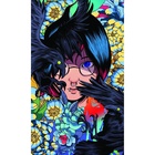 УЦЕНКА Картина по номерам. Панно Аниме. «Huginn & Muninn.» 30×50 см 07839 10959627