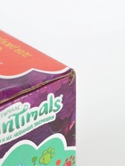 УЦЕНКА Набор д/дет тв-ва фигурка для росписи ЭНЧАНТИМАЛС (краски, кисточка) - Фото 8