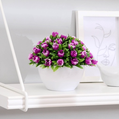 УЦЕНКА Бонсай «С цветочными бутонами», 10×10×11 см, без горшка