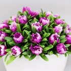 УЦЕНКА Бонсай «С цветочными бутонами», 10×10×11 см, без горшка - Фото 2