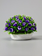 УЦЕНКА Бонсай «С цветочными бутонами», 10×10×11 см, без горшка - Фото 3