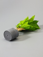 УЦЕНКА Бонсай в горшке «Диффенбахия пятнистая» 9×32 см - Фото 5