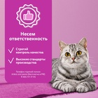 Влажный корм Whiskas для кошек, рагу индейка, 75 г - Фото 7