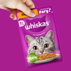 Влажный корм Whiskas для кошек, рагу индейка, 75 г - Фото 9