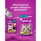 Влажный корм Whiskas для кошек, желе кролик, 75 г - Фото 7