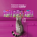 Влажный корм Whiskas для кошек, рыба/креветка/овощи, 75 г - Фото 6