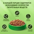 Сухой корм Kitekat для кошек, Телятинка аппетитная, 1.3 кг - фото 61952004
