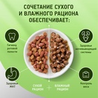 Сухой корм Kitekat для кошек, Телятинка аппетитная, 1.3 кг - Фото 7