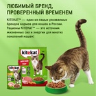 Сухой корм Kitekat для кошек, Телятинка аппетитная, 1.3 кг - Фото 8