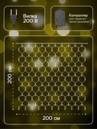 УЦЕНКА Гирлянда «Сеть» 2×2 м, IP20, тёмная нить, 224 LED, свечение тёплое белое, 8 режимов, 220 В - Фото 2