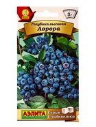 Семена Голубика высокая Аврора Сладкоежка, Ц/П,0,01 г 10944913