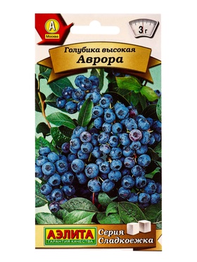 Семена Голубика высокая Аврора Сладкоежка, Ц/П,0,01 г