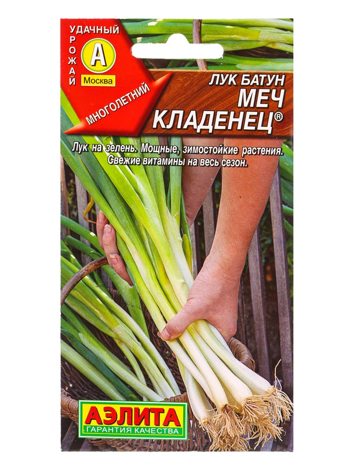Семена Лук батун «Меч Кладенец», 0.5 г, многолетник, «Аэлита» - Фото 1