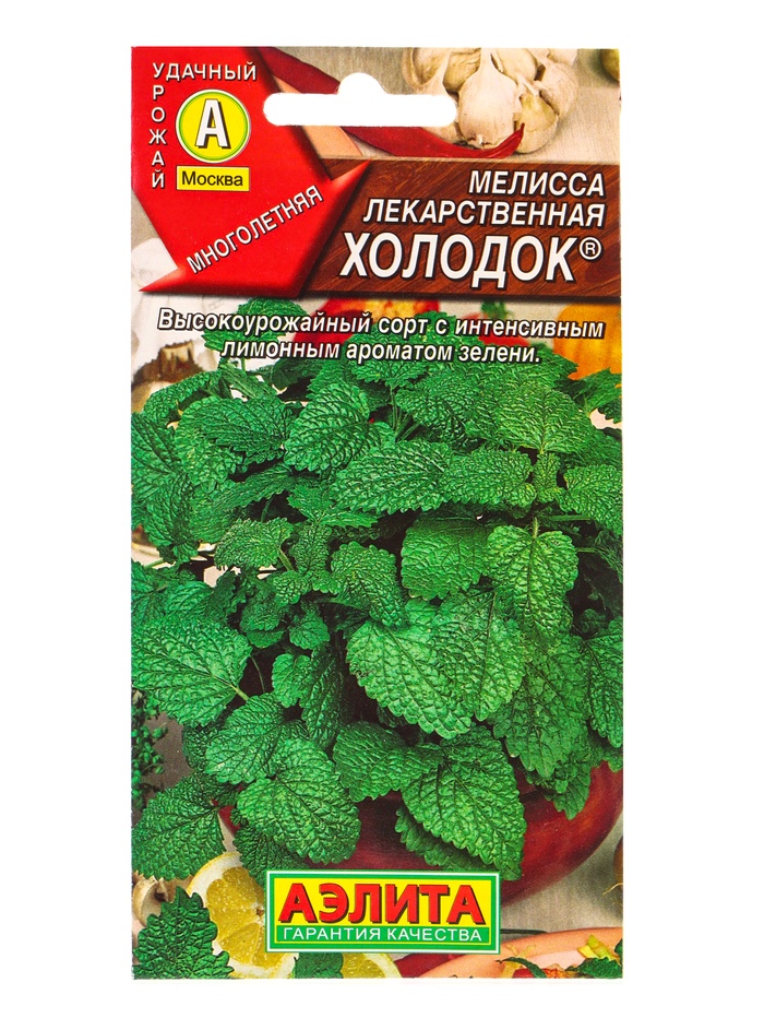 Семена Мелисса лекарственная «Холодок», 0.1 г, многолетник, «Аэлита» - Фото 1