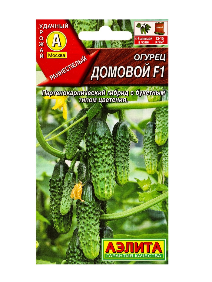 Семена Огурец «Домовой», F1, партенокарпический, 10 шт., «Агрофирма АЭЛИТА»
