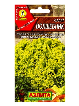 Семена Салат «Волшебник», полукочанный 0.5 г, «Агрофирма АЭЛИТА»