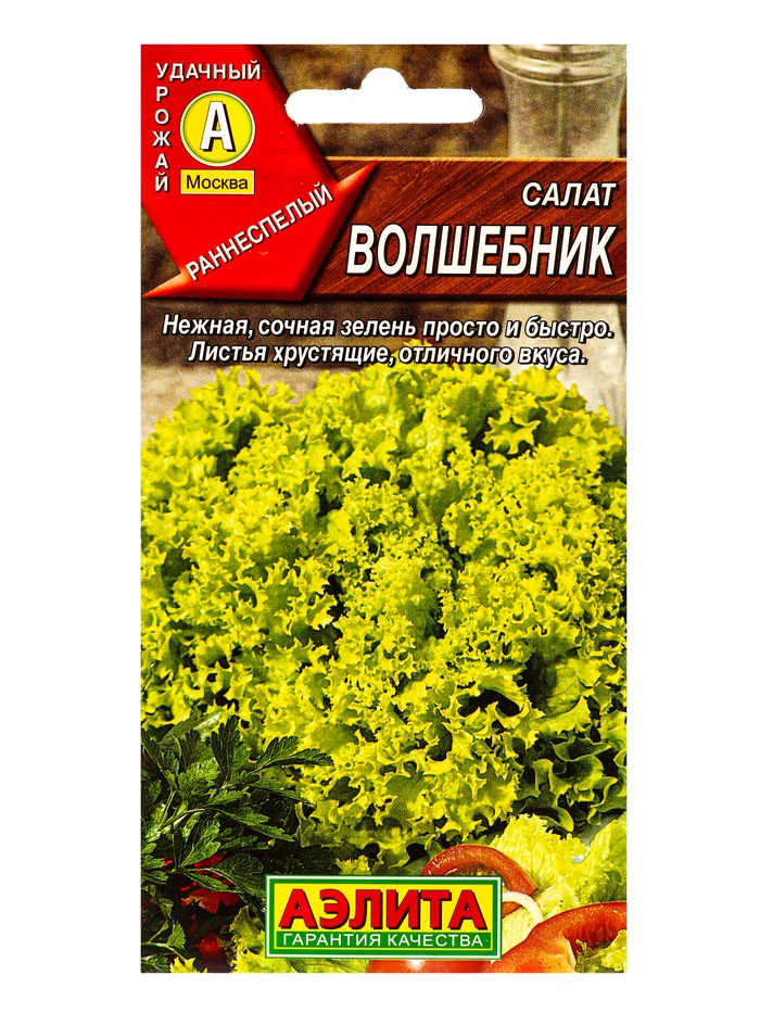 Семена Салат «Волшебник», полукочанный 0.5 г, «Агрофирма АЭЛИТА»