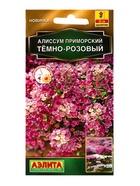 Семена цветов Алиссум приморский Тёмно-розовый  Золотая серия, Ц/П,0,1 г 10945256
