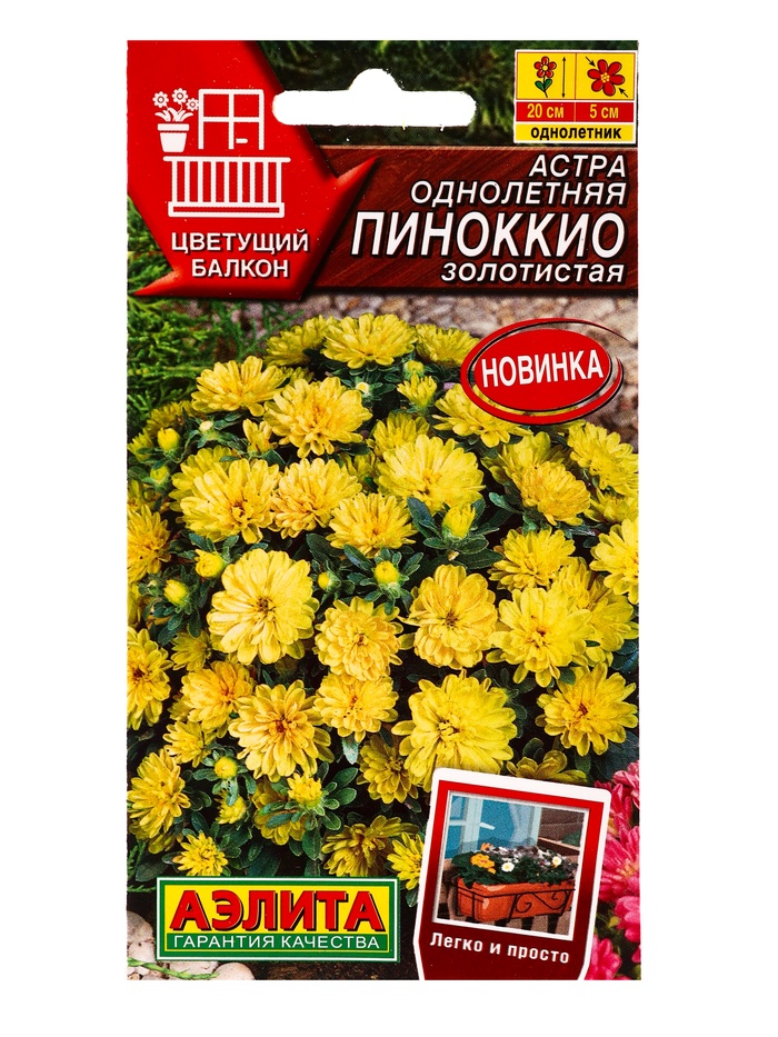 Семена цветов Астра Пиноккио золотистая  Цветущий балкон, Ц/П,0,05 г - Фото 1