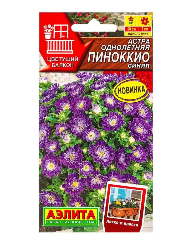 Семена цветов Астра Пиноккио синяя  Цветущий балкон, Ц/П,0,05 г - Фото 1