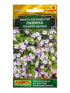 Семена цветов Бакопа раскидистая Лавина голубая дымка  (драже) , Ц/П,3 шт. - фото 809345014